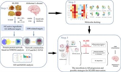 Molecular mechanisms of Huanglian Jiedu decoction in treating Alzheimer’s disease by regulating microbiome via network pharmacology and molecular docking analysis